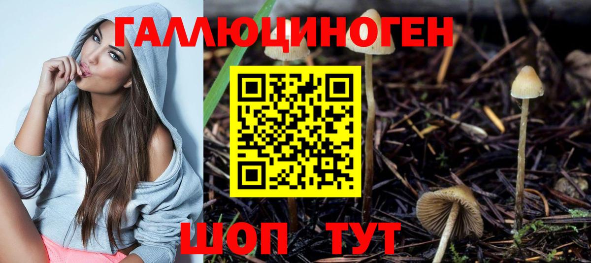 Искитим  Галлюциногенные грибы ЛСД  Вход с VPN  Галлюциногенные грибы GOLDEN TEACHER 